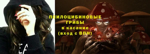 ECSTASY Белоозёрский