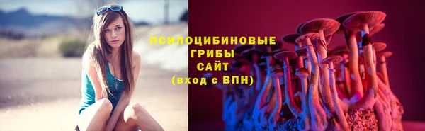 ECSTASY Белоозёрский