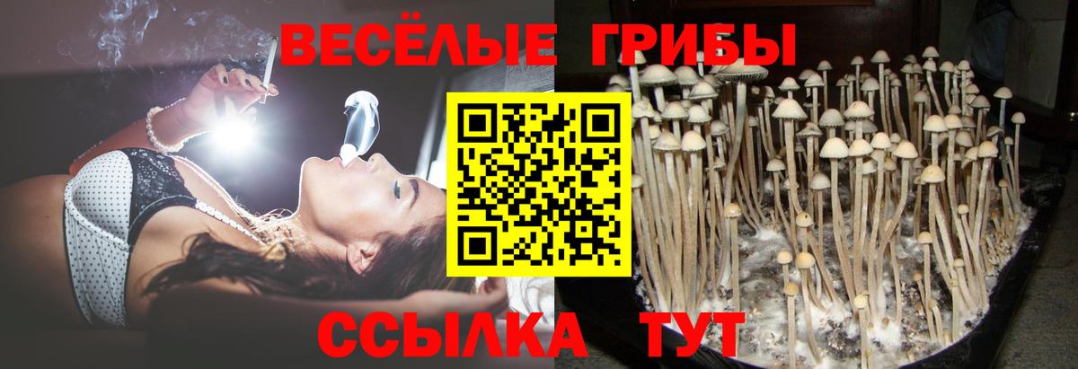 Псилоцибиновые грибы MAGIC MUSHROOMS Валуйки